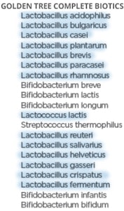 Lactobacilii